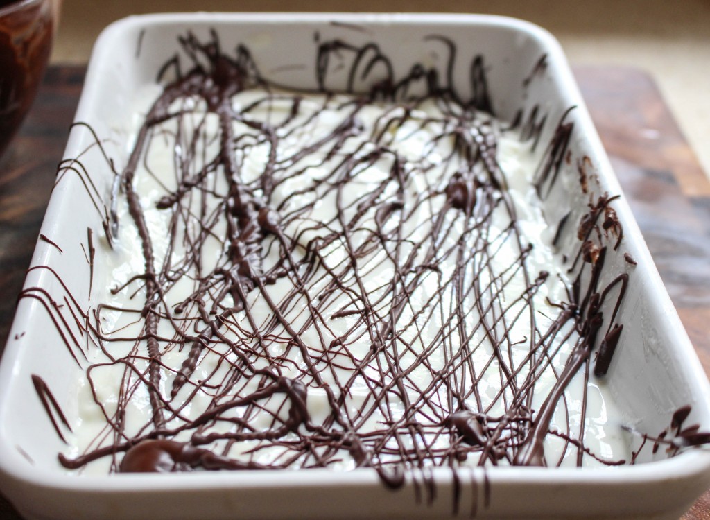Fresh Mint Gelato with Chocolate Ripple | Yes to Yolks