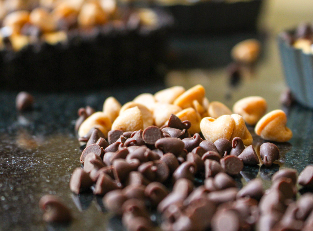 Mini (No-Bake) Chocolate Peanut Butter Tarts | Yes to Yolks