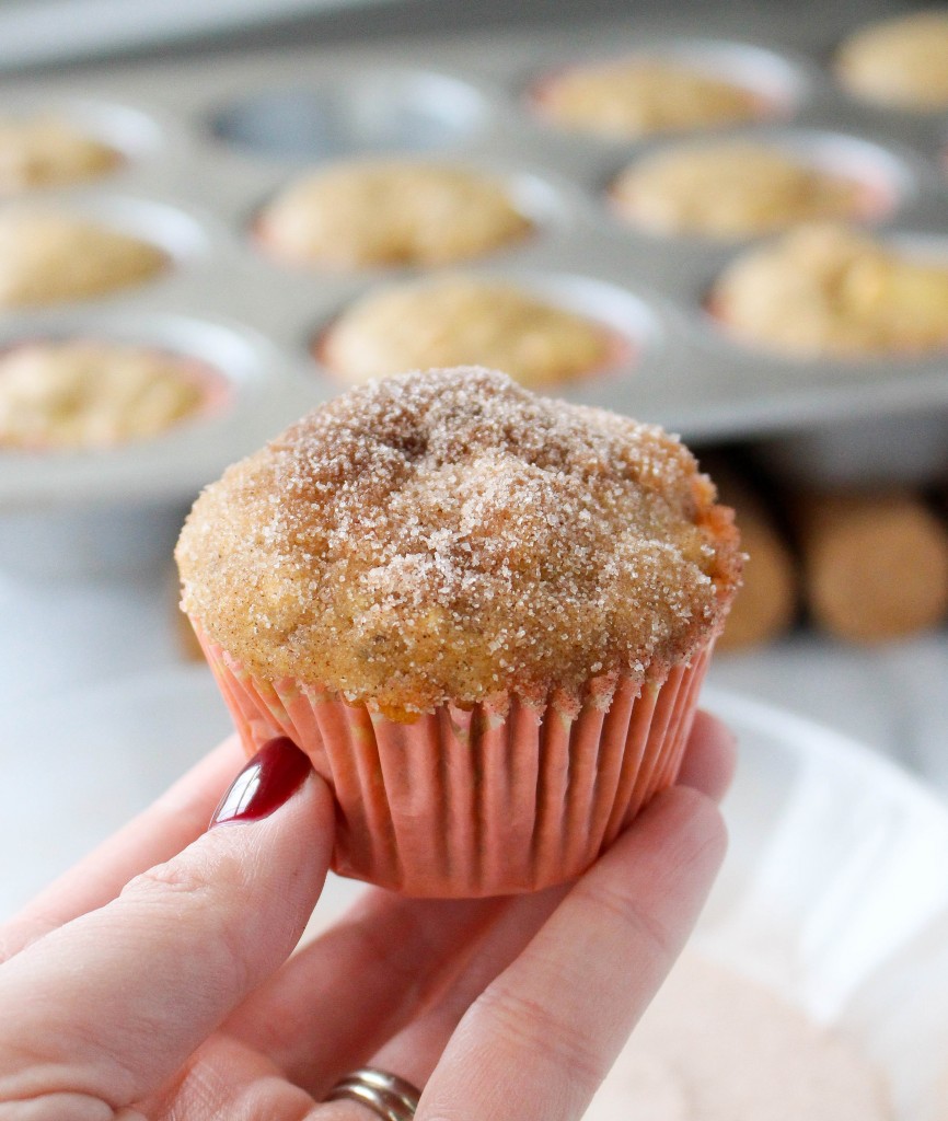 Healthy Apple Cinnamon Muffins | yestoyolks.com