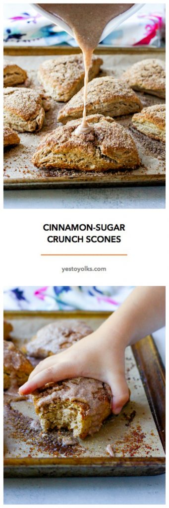Cinnamon Sugar Crunch Scones